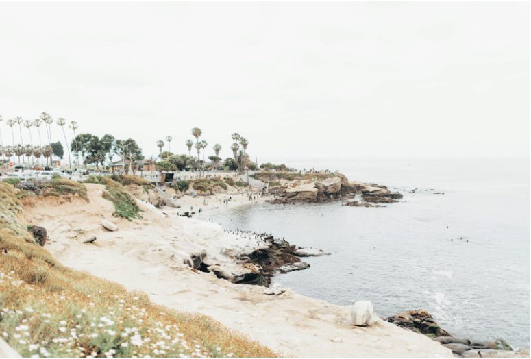 La Jolla cove